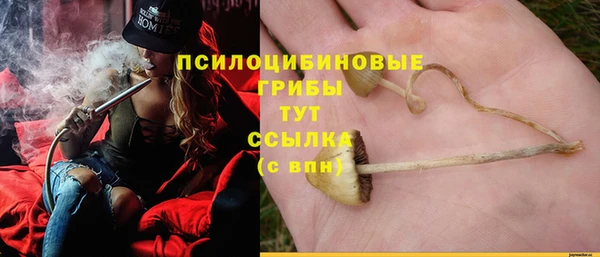 ешки Аркадак