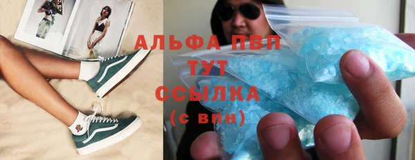 сатива Арсеньев