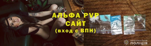 сатива Арсеньев