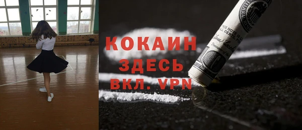 сатива Арсеньев