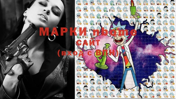 ешки Аркадак
