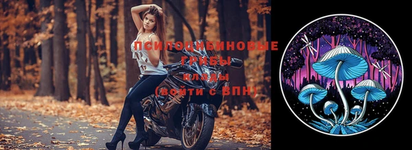 тгк Армянск
