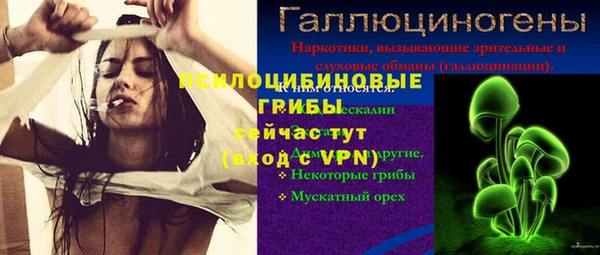 тгк Армянск
