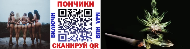 закладка Пугачёв Шишки марихуана план